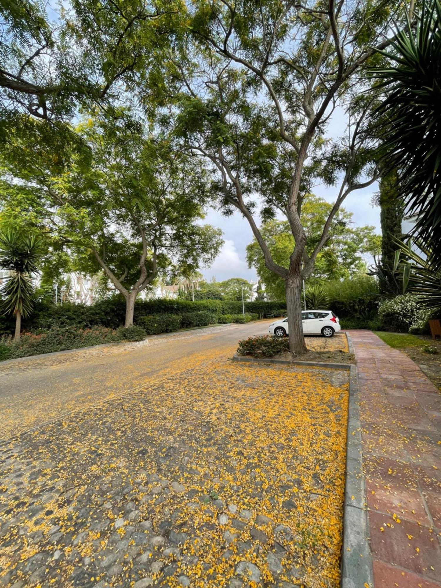 Relax&Sunset Appartement Costa Ballena 罗塔 外观 照片