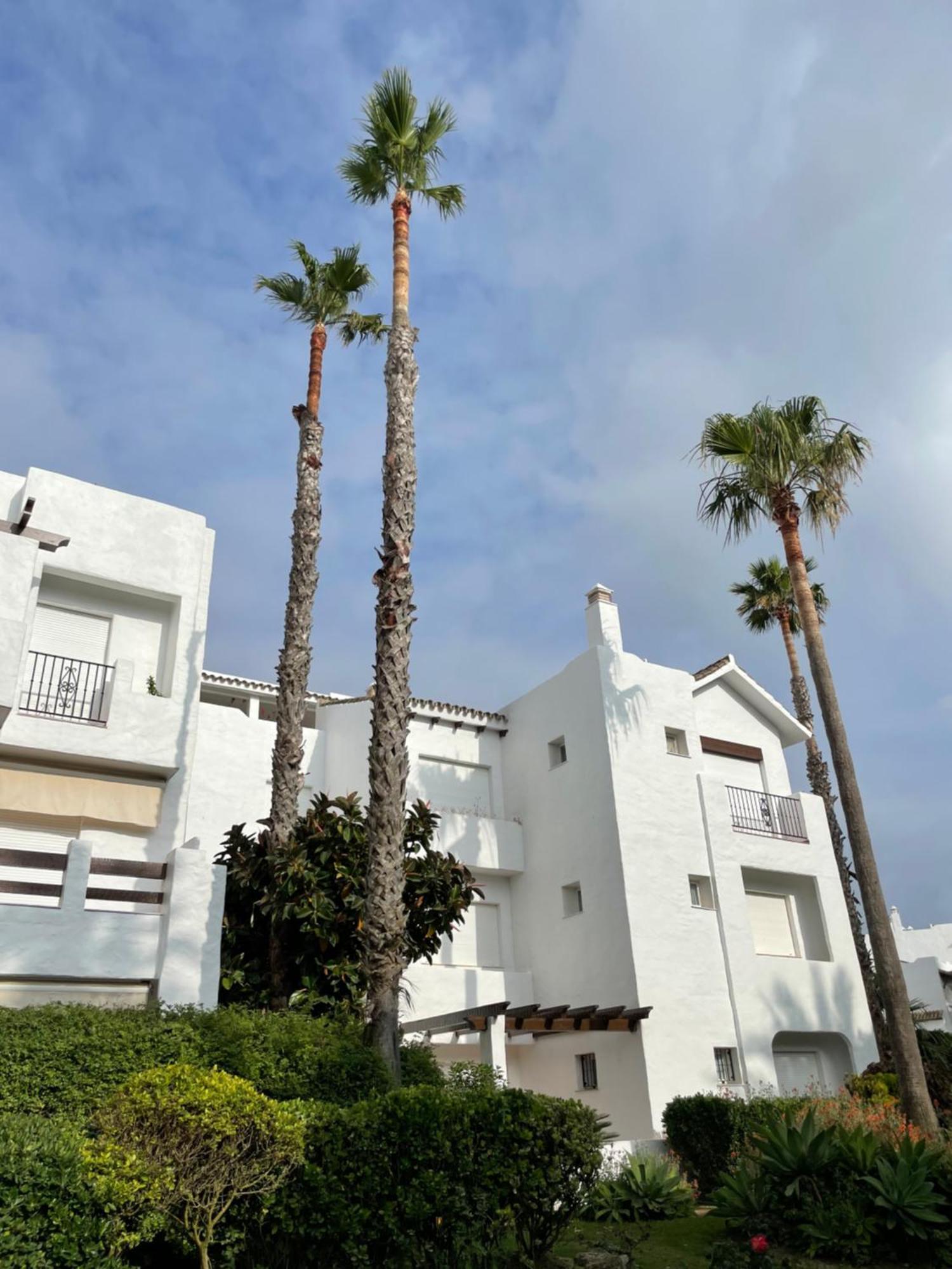 Relax&Sunset Appartement Costa Ballena 罗塔 外观 照片